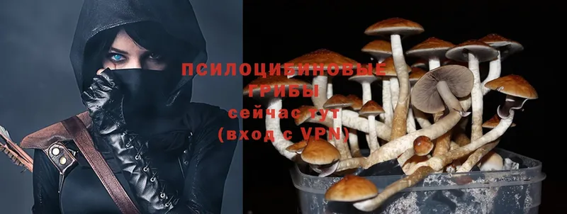 купить наркотик  Рыльск  Псилоцибиновые грибы Magic Shrooms 